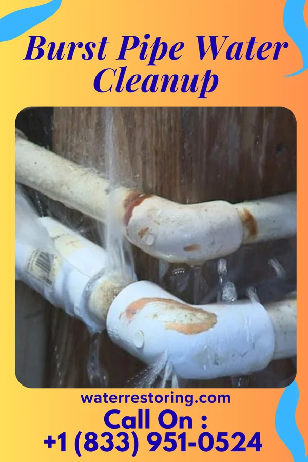 Burst Pipe Water Cleanup in Markle, IN