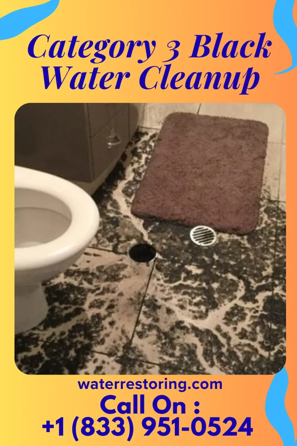 Category 3 Black Water Cleanup in Markle, IN