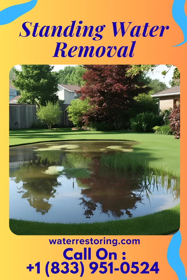 Standing Water Removal in Markle, IN